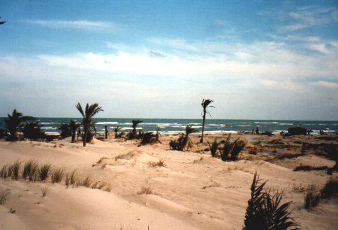 djerba-3.jpg