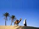 sahara.jpg